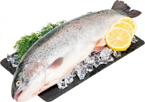 Форель потрошеная охлажденная с головой 2-3  кг