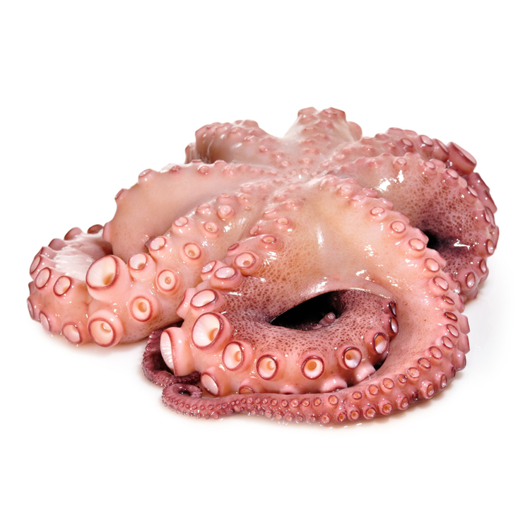 Осьминог целый 1-2 кг