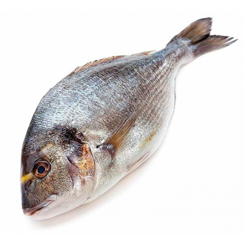 Дорадо замороженная непотрошеная 