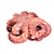Осьминоги