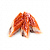 Угорь
